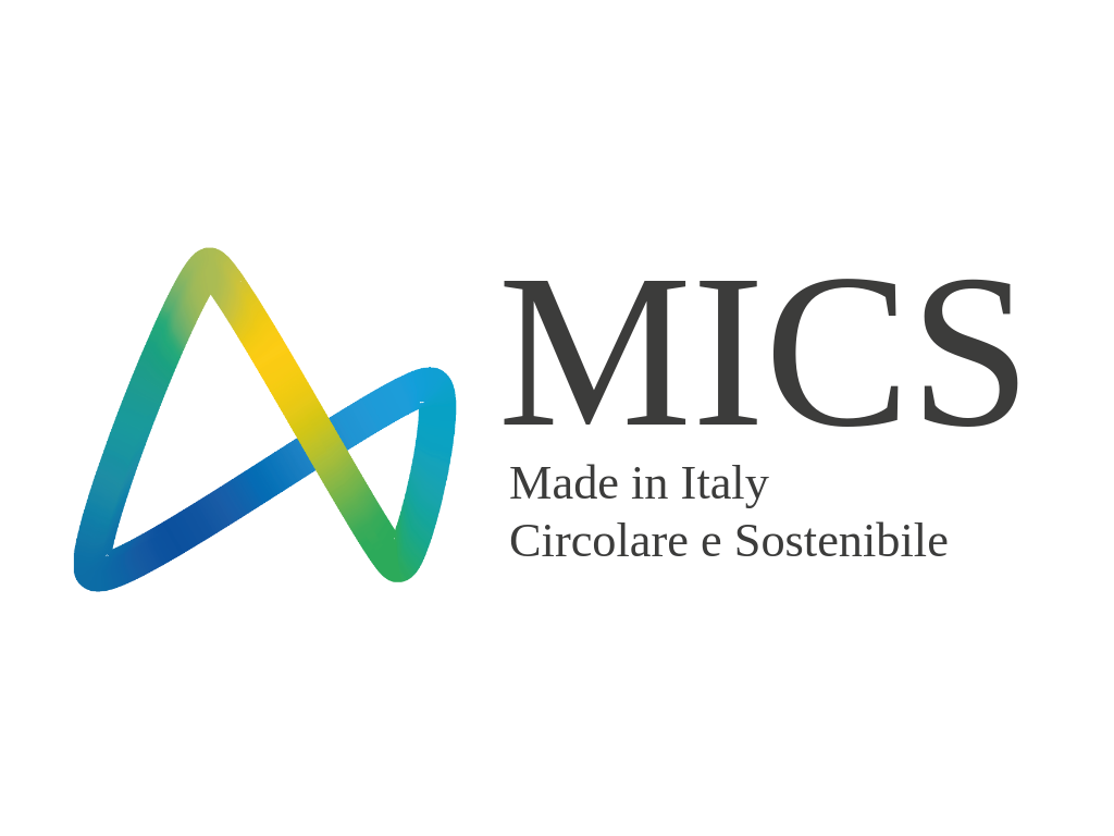 Logo_MICS_1 (1)